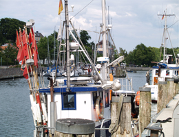 Hafen Eckernförde